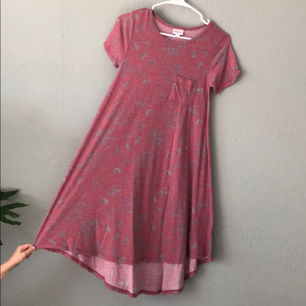 LulaRoe Carly style dress